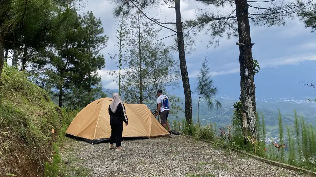 Hutan Pinus